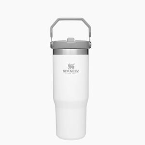 NWT Stanley IceFlow Flip Straw Tumbler